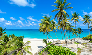 immagine di Barbados