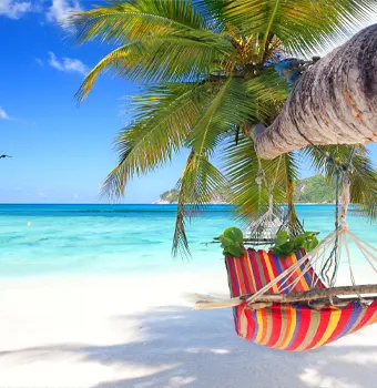 Promoción cruceros de hasta 5 noches