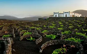 Lanzarote