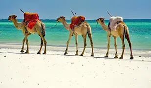 Mombasa