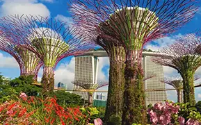 Imagen de Singapur