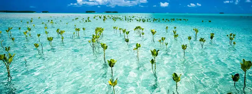 Funafuti