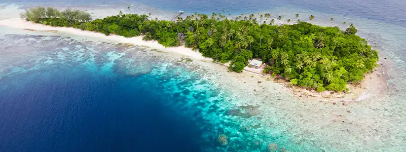 Njari Island