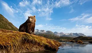 Imagen de Alaska