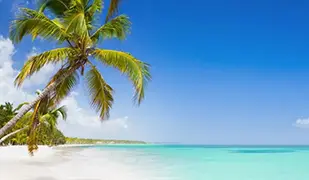 Imagen de Caribe