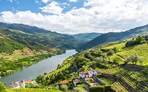 Imagen de Duero