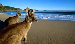 Imagen de Oceania