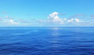 Imagen de Oceánico