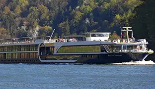 Imagen de Avalon Passion