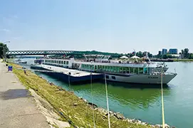 MN Verdi