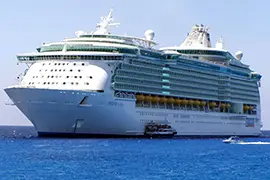Imagen de Freedom  Of The Seas