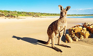 Imagen de Australia