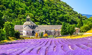 Imagen de Francia