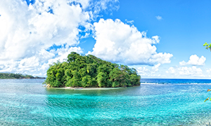 excursiones Jamaica