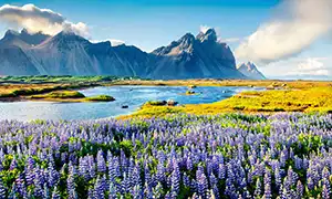 Imagen de Islandia