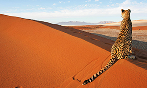 Namibia
