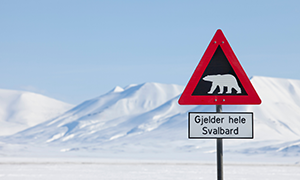 immagine di Svalbard