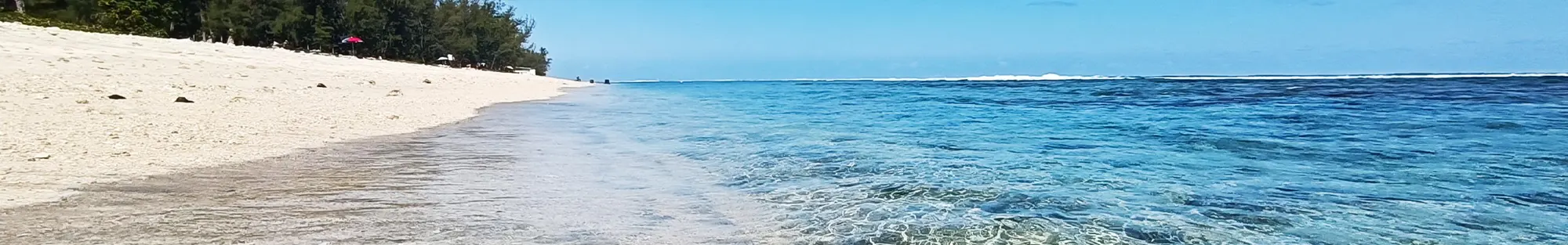 Reunión