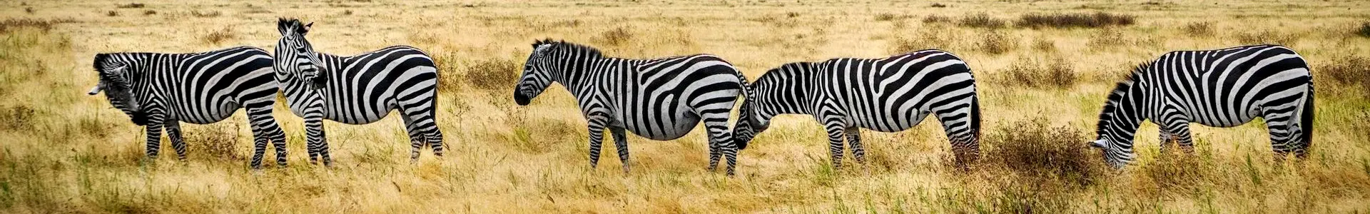 Tanzania