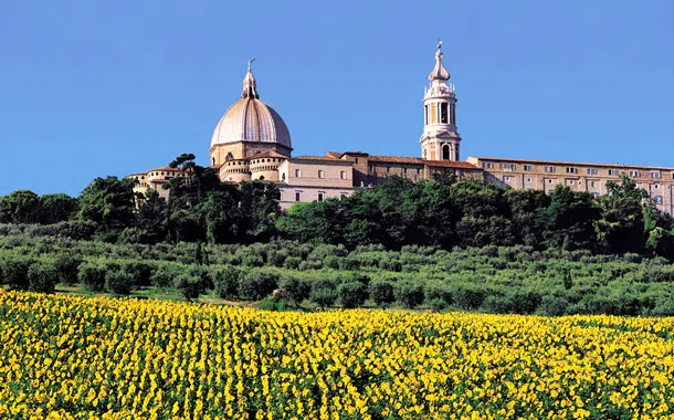 ancona