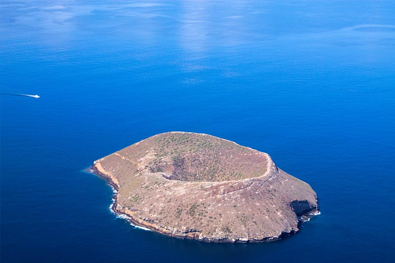 daphne-island